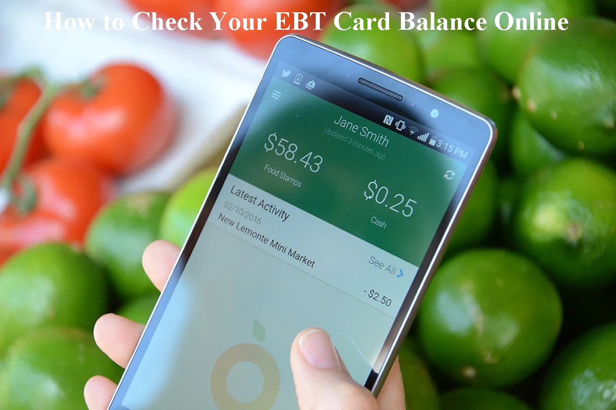 How to Check Your EBT Card Balance Online