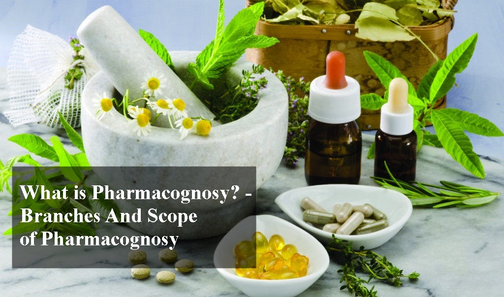 What is Pharmacognosy? - Branches And Scope Of Pharmacognosy