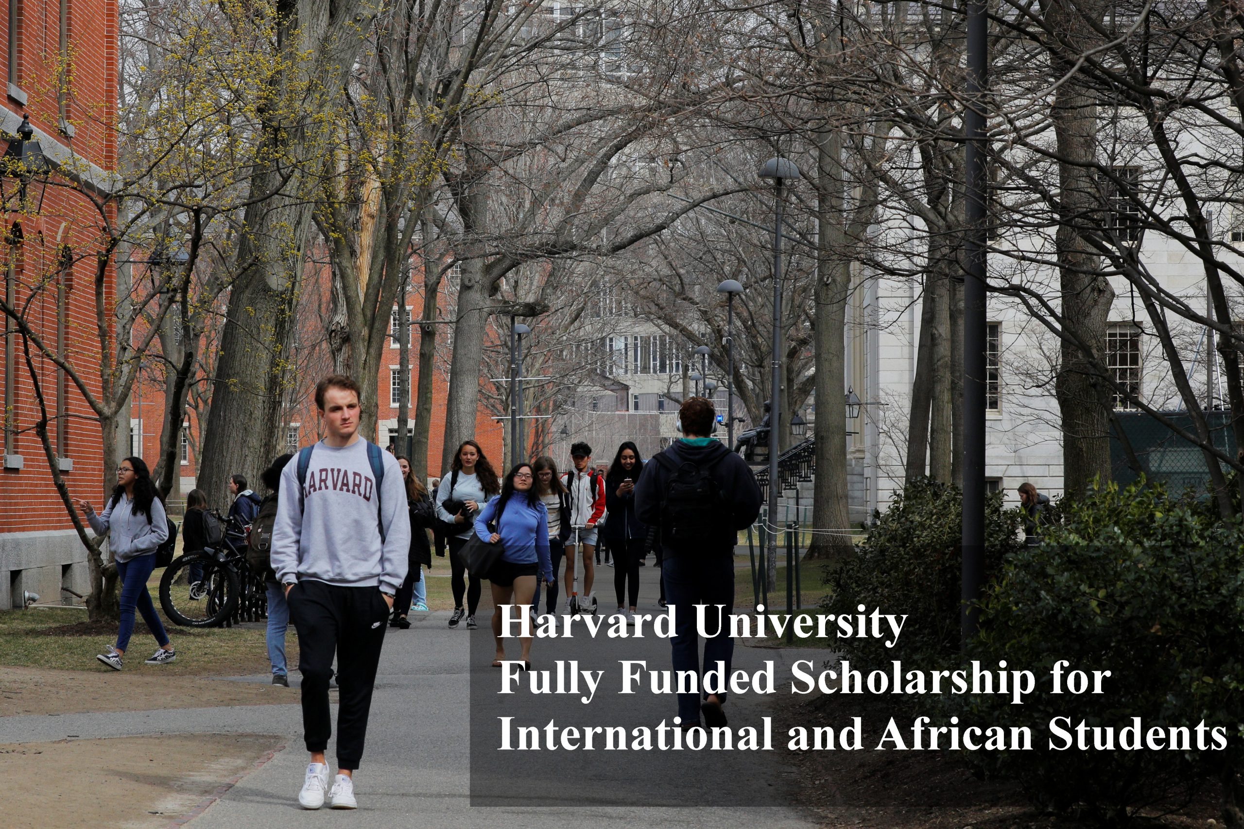 Harvard University Fully Funded Scholarship