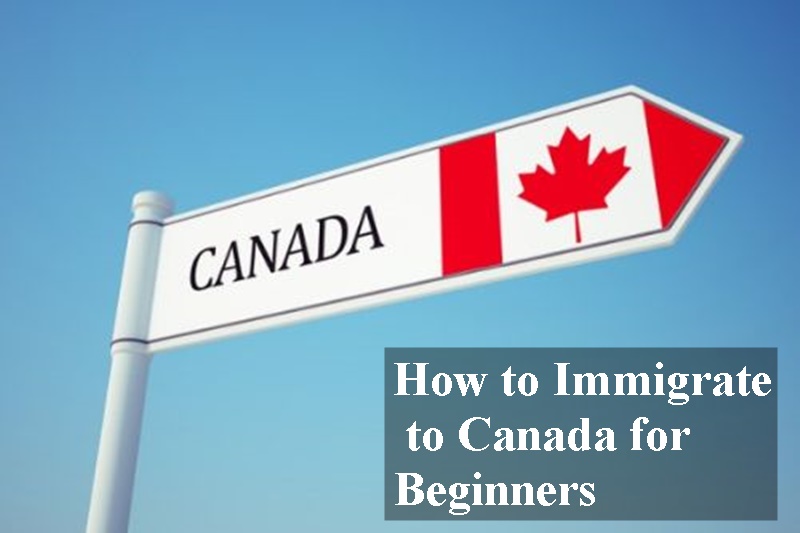 How to Immigrate to Canada For Beginners